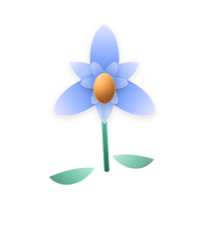 Iris tier, current