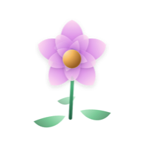Orchid tier
